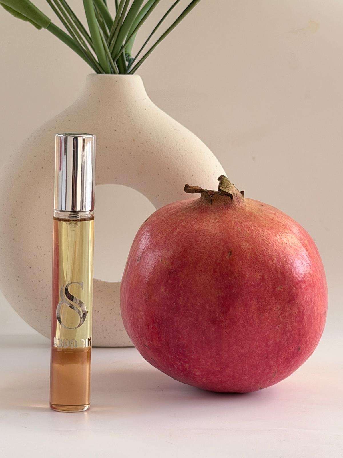 WhatsApp Image 2025-11-17 at 10.53.41